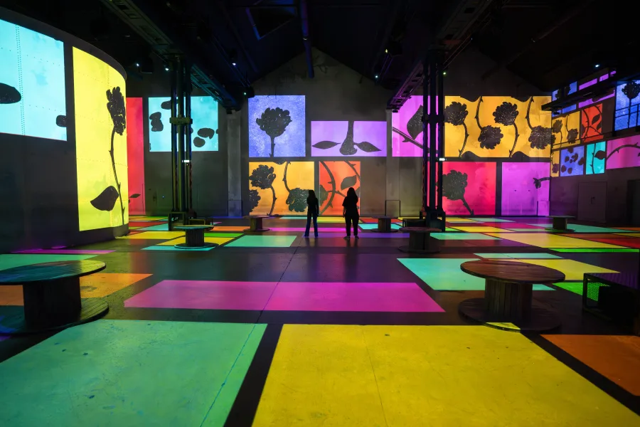 Modernste Technologie, Emotionen garantiert!